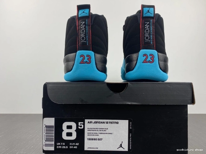 Gamma Retro 130690-027 Blue Jordan 12 0711